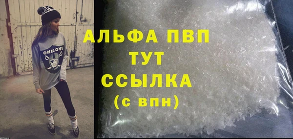 гашик Осинники